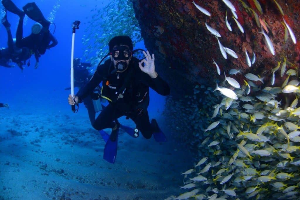 Scuba Diving or Aqua Safari