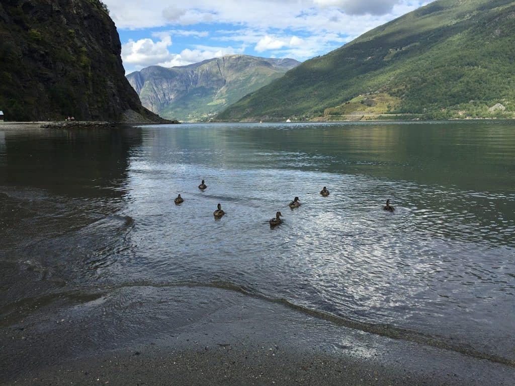 The Fjords In Norway